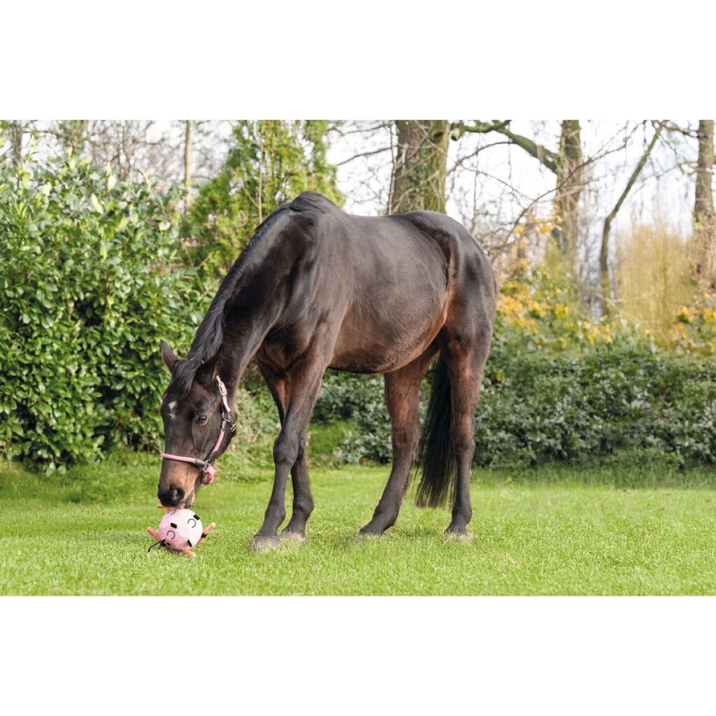 HKM Ball Fun Rosa
