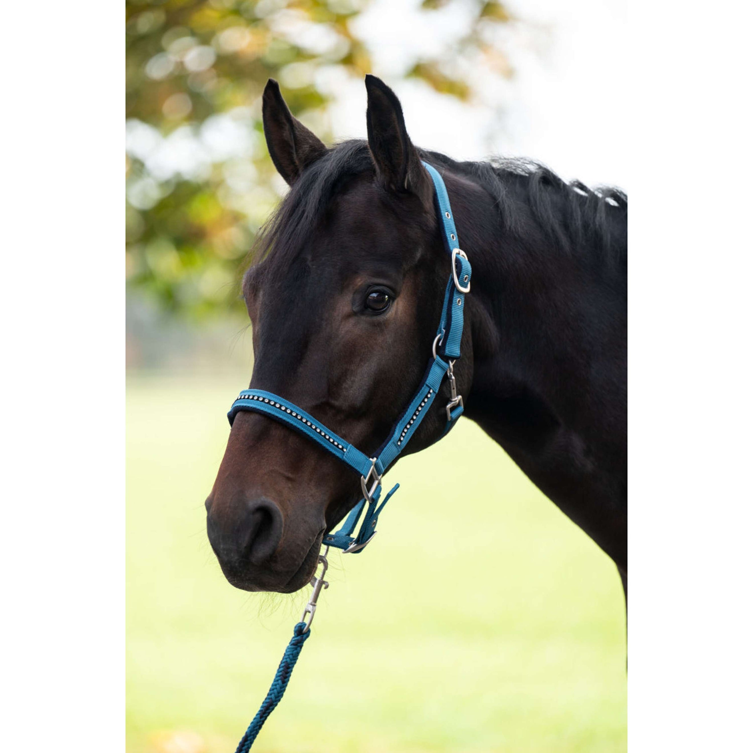 HKM Halfterset Crystal, weich unterlegt Petrol Navy HKM Halfterset Crystal, weich unterlegt Petrol Navy