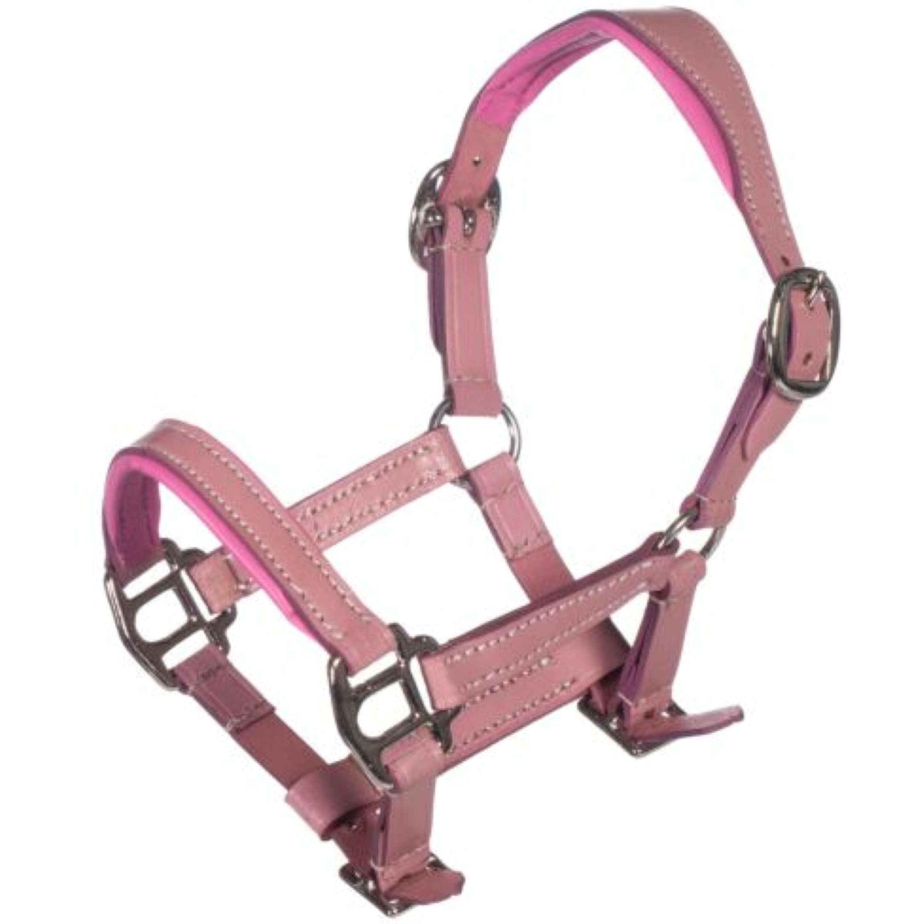 HKM Hobby Horsing Leder Halfter Rosa