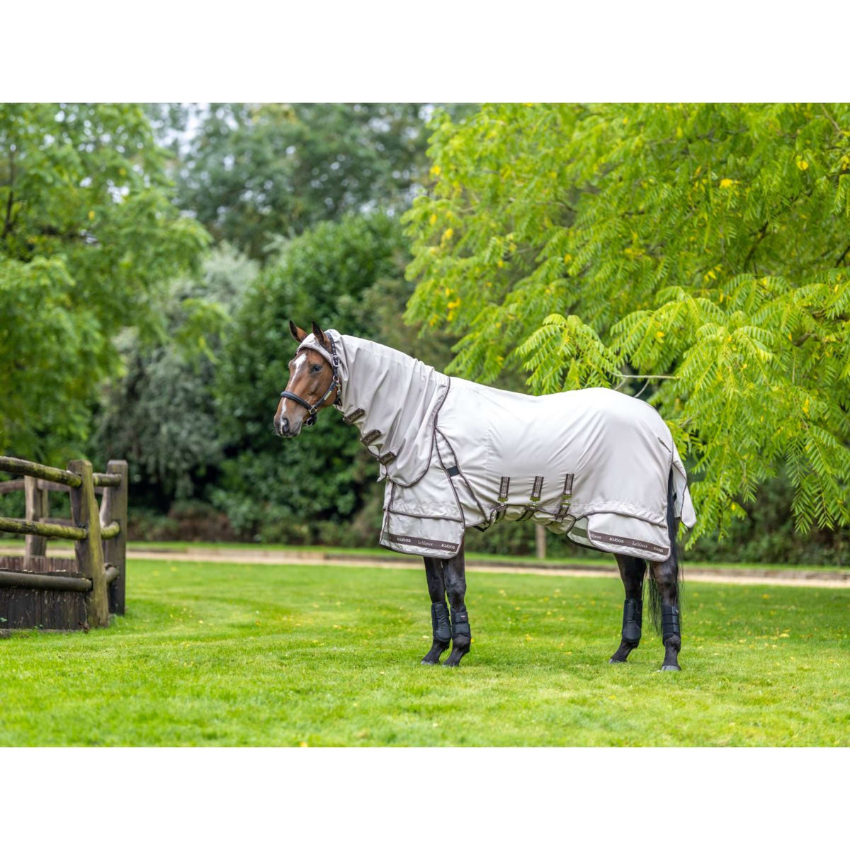 LeMieux Ekzemerdecke Kudos Sweet Itch SS26 Stein