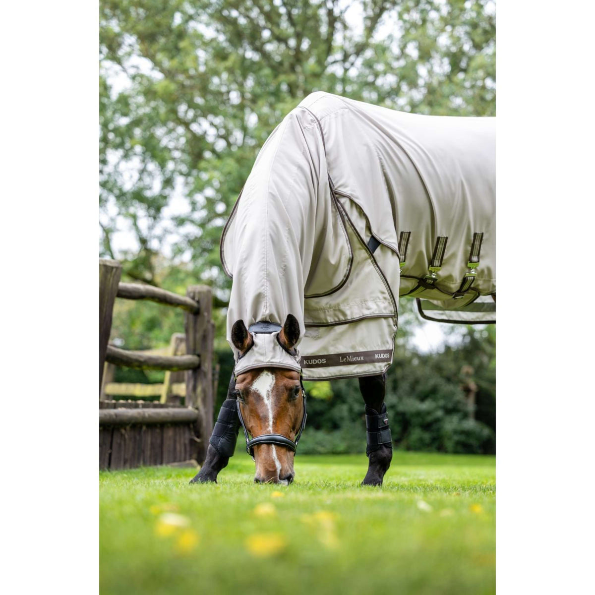 LeMieux Ekzemerdecke Kudos Sweet Itch SS26 Stein