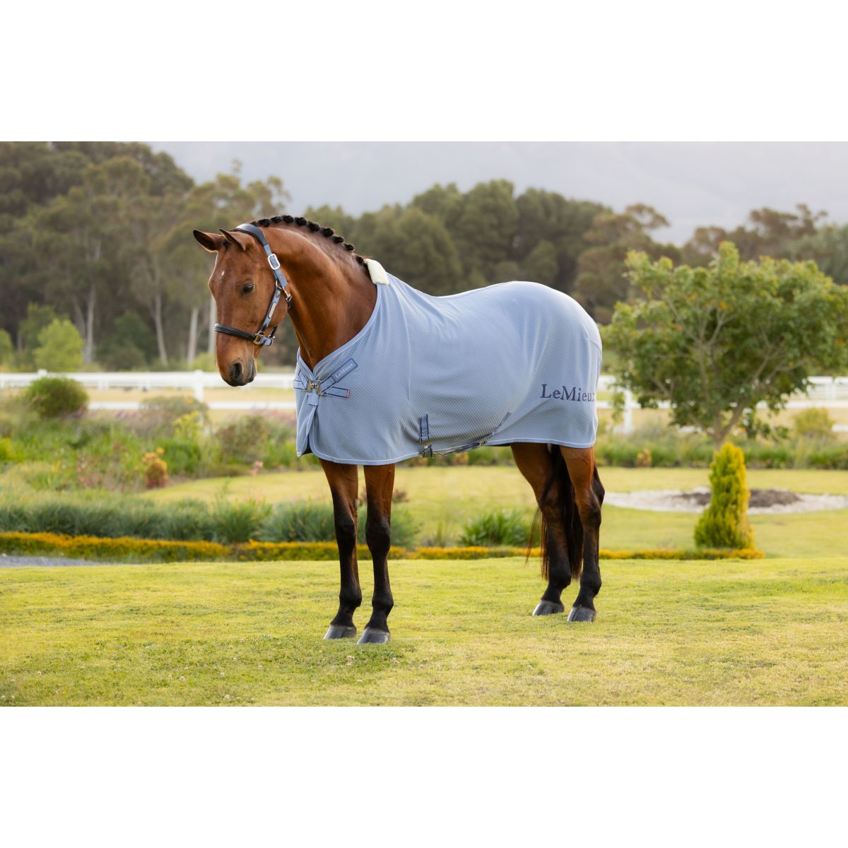 LeMieux Cooler Kudos Bamboo Powder Blue