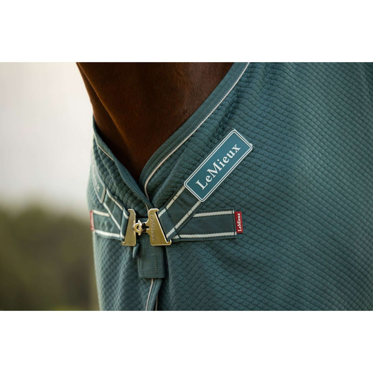 LeMieux Cooler Kudos Bamboo Jungle