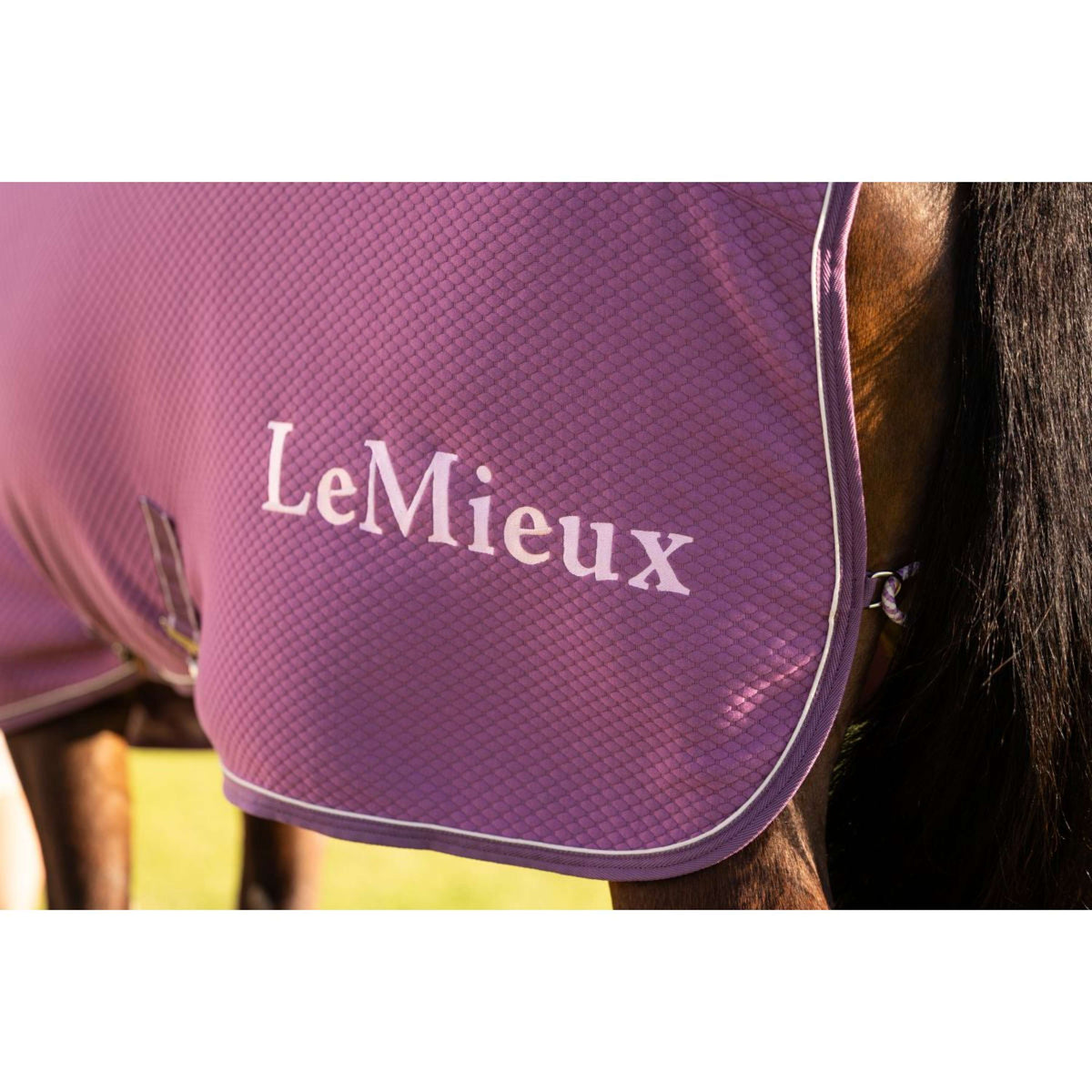LeMieux Cooler Kudos Bamboo Mallow