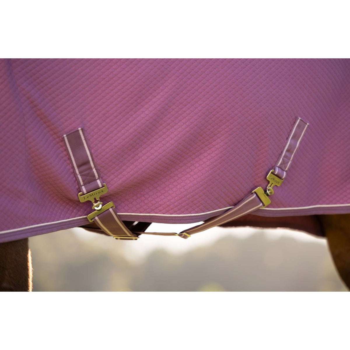 LeMieux Cooler Kudos Bamboo Mallow