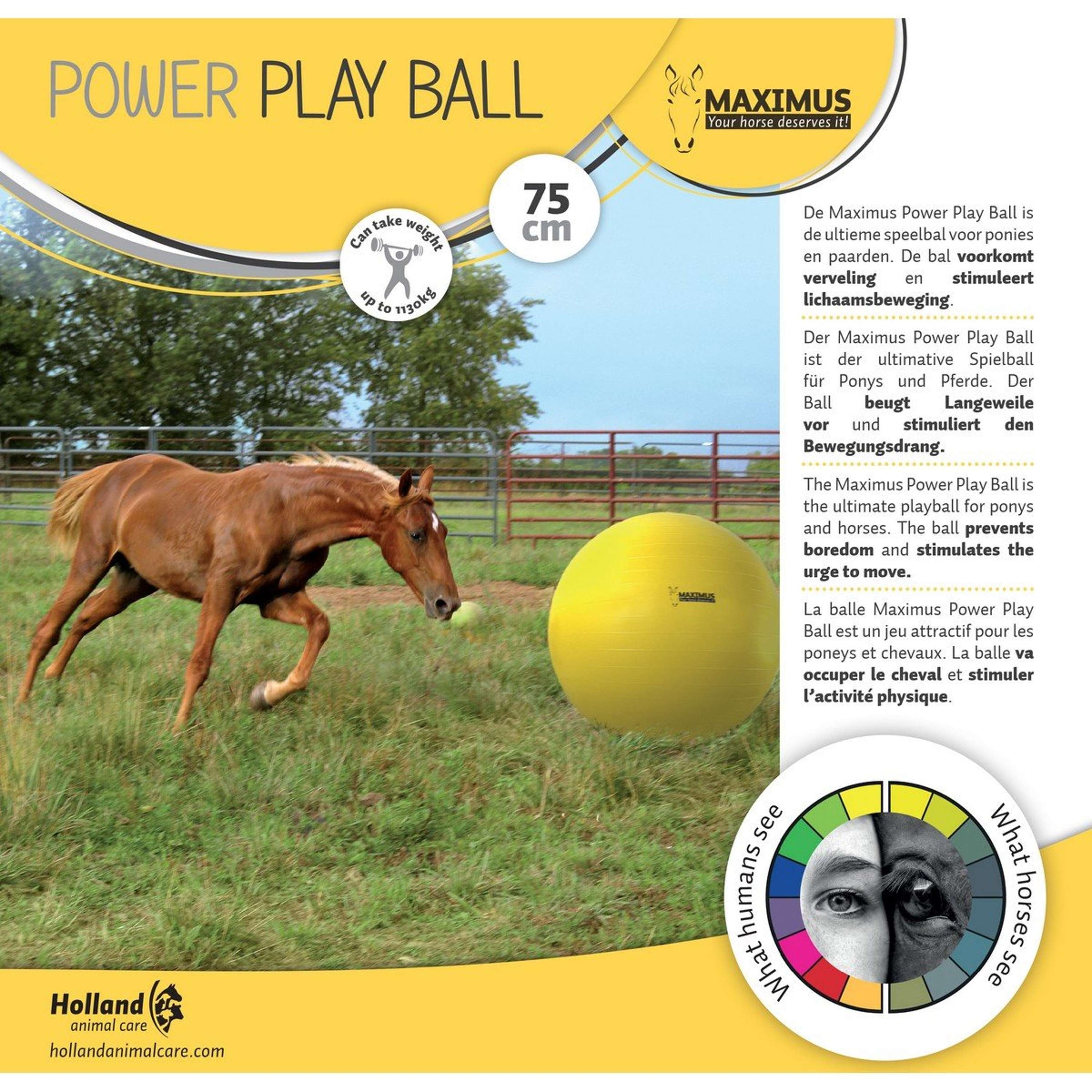 Maximus Power Play Ball Gelb Maximus Power Play Ball Gelb