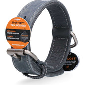 Spotted Pro! Hundehalsband Leder Grau