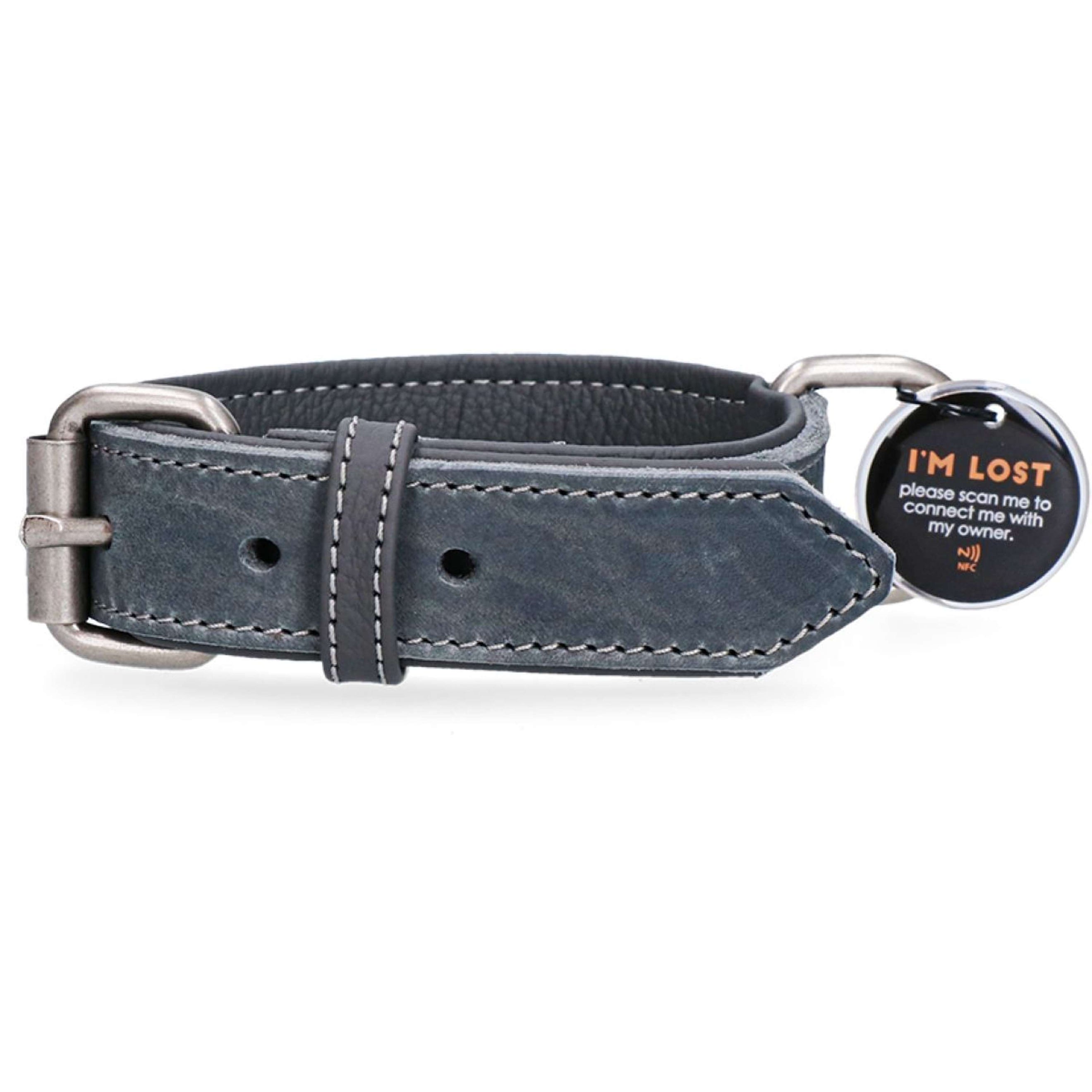 Spotted Pro! Hundehalsband Leder Grau Spotted Pro! Hundehalsband Leder Grau