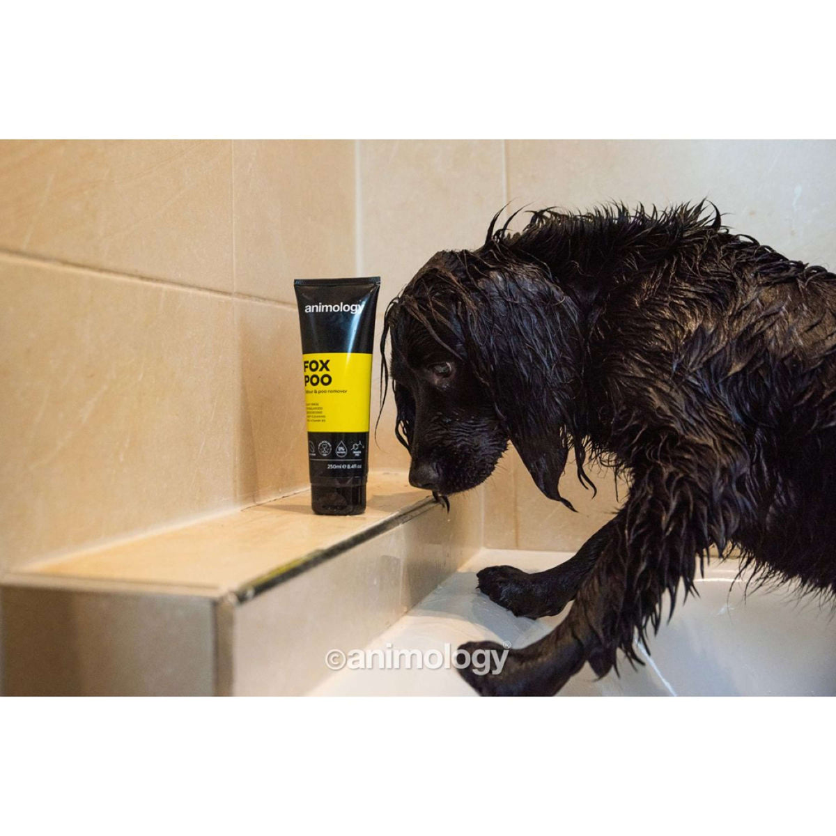 Animology Shampoo Fox Poo