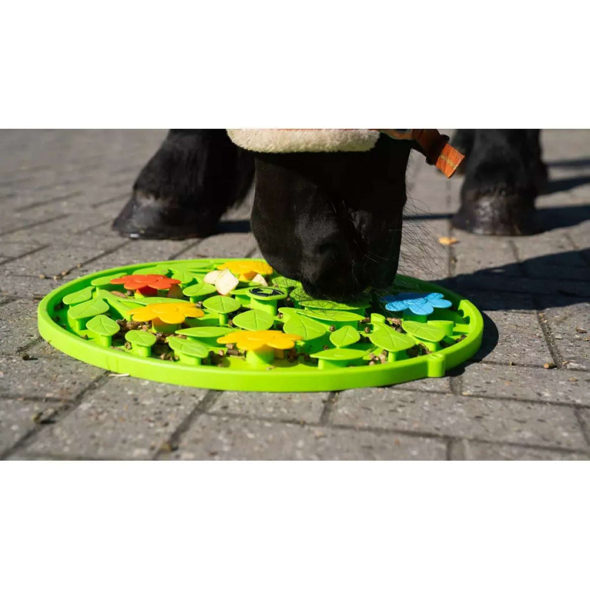 Excellent Snuffelmatte Horse Flower Power