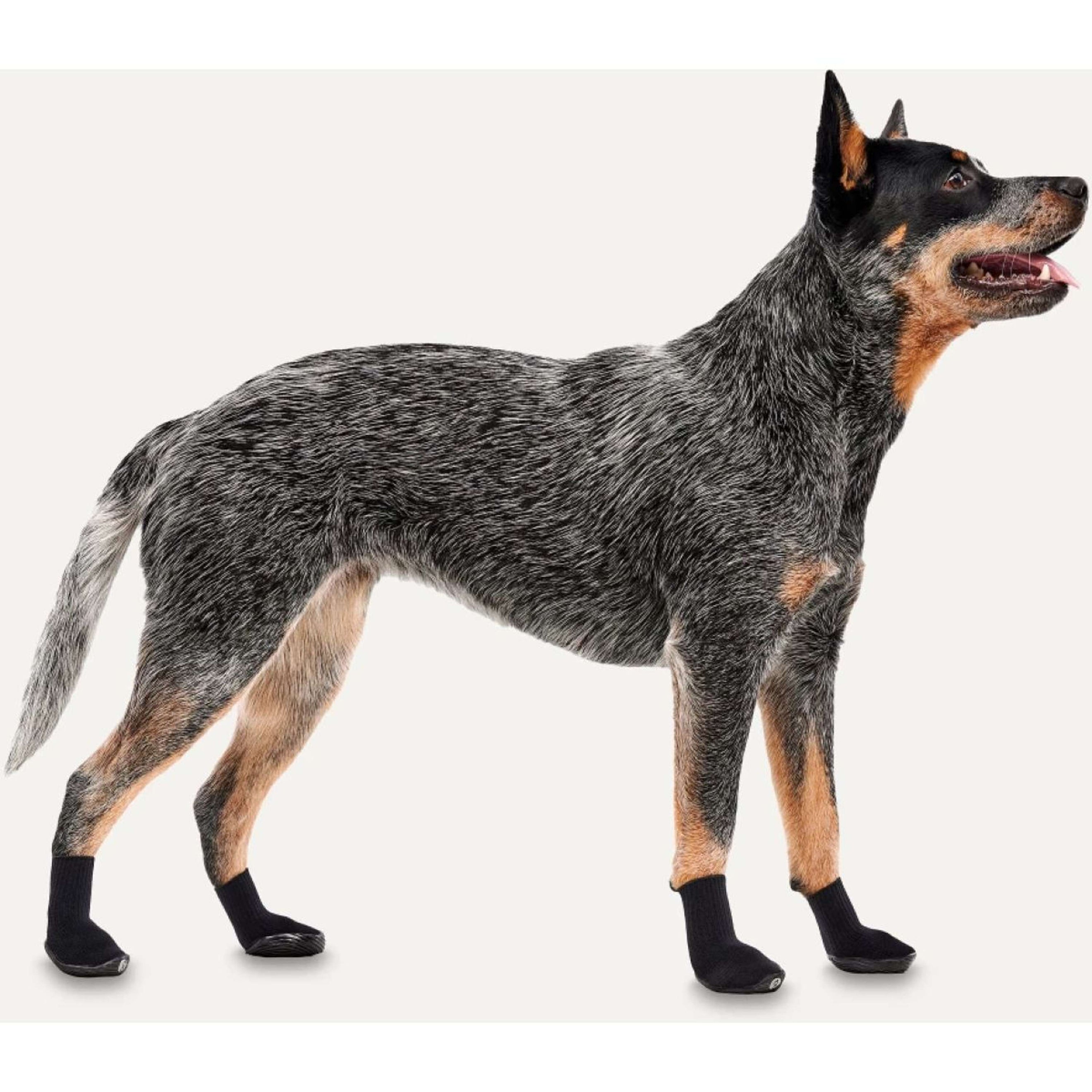 Goo-eez Regular Dog Boots 2-pack Schwarz Goo-eez Regular Dog Boots 2-pack Schwarz