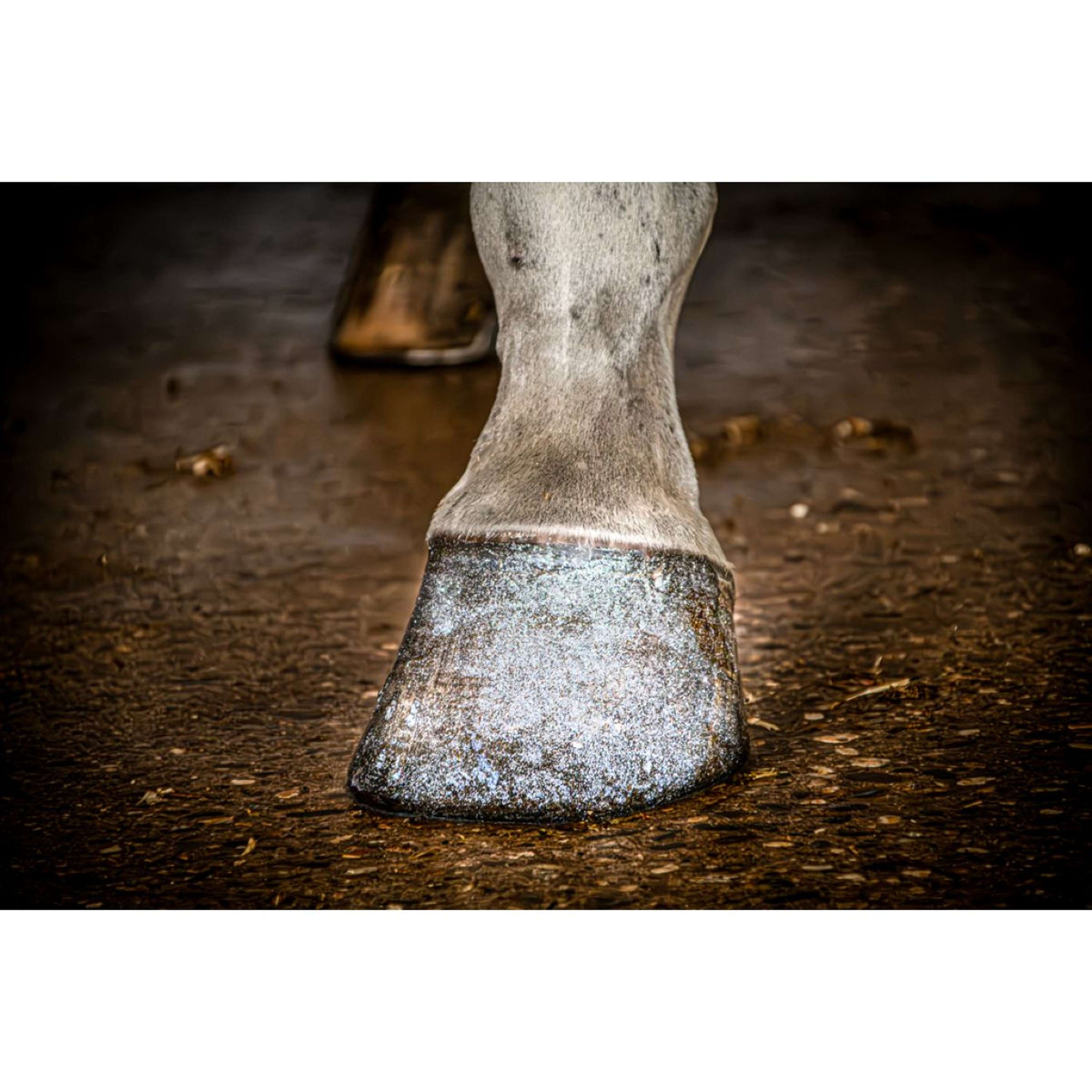 Excellent Huflack Hi Gloss Glitter Silber Excellent Huflack Hi Gloss Glitter Silber