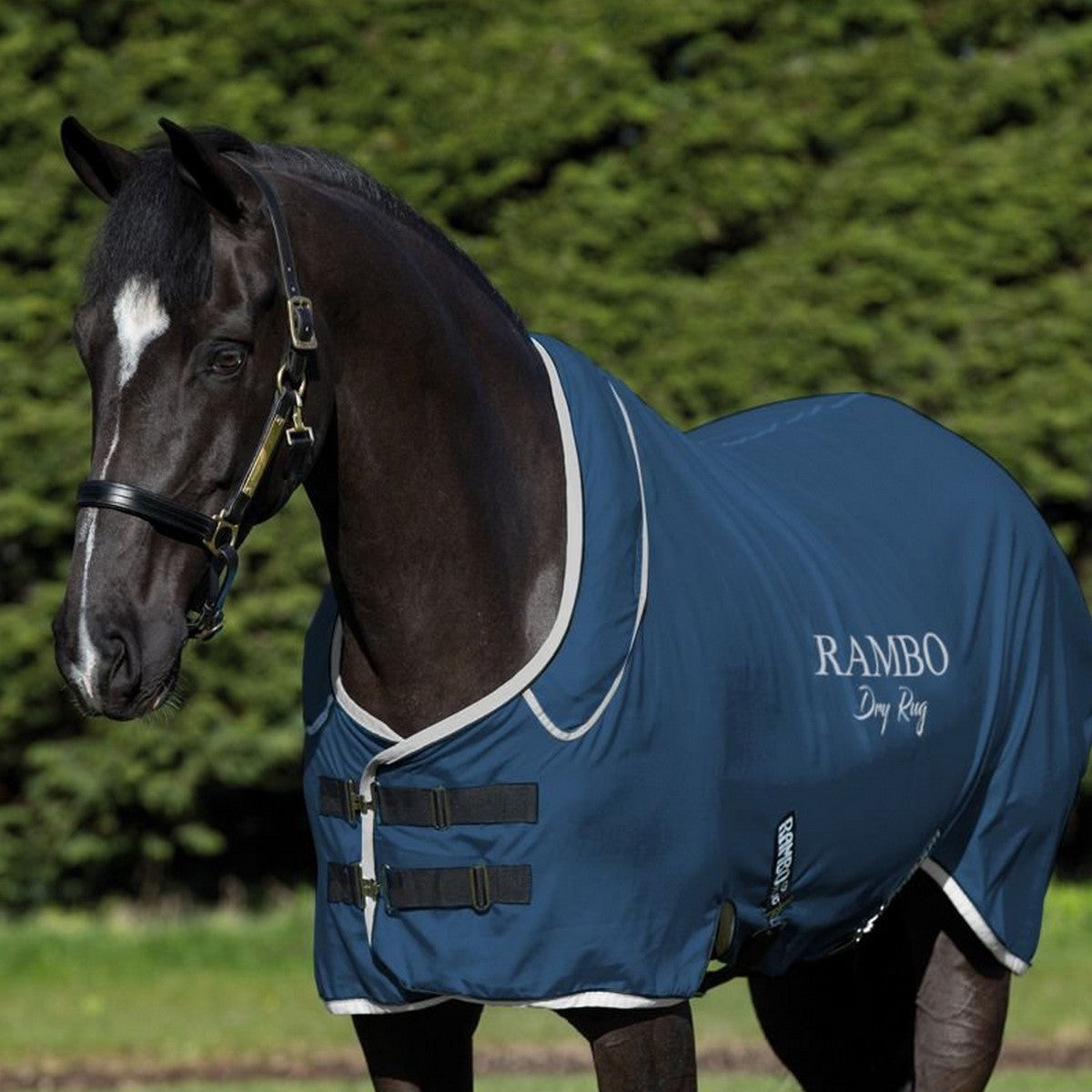 Rambo Dry Rug Supreme Navy/Silber