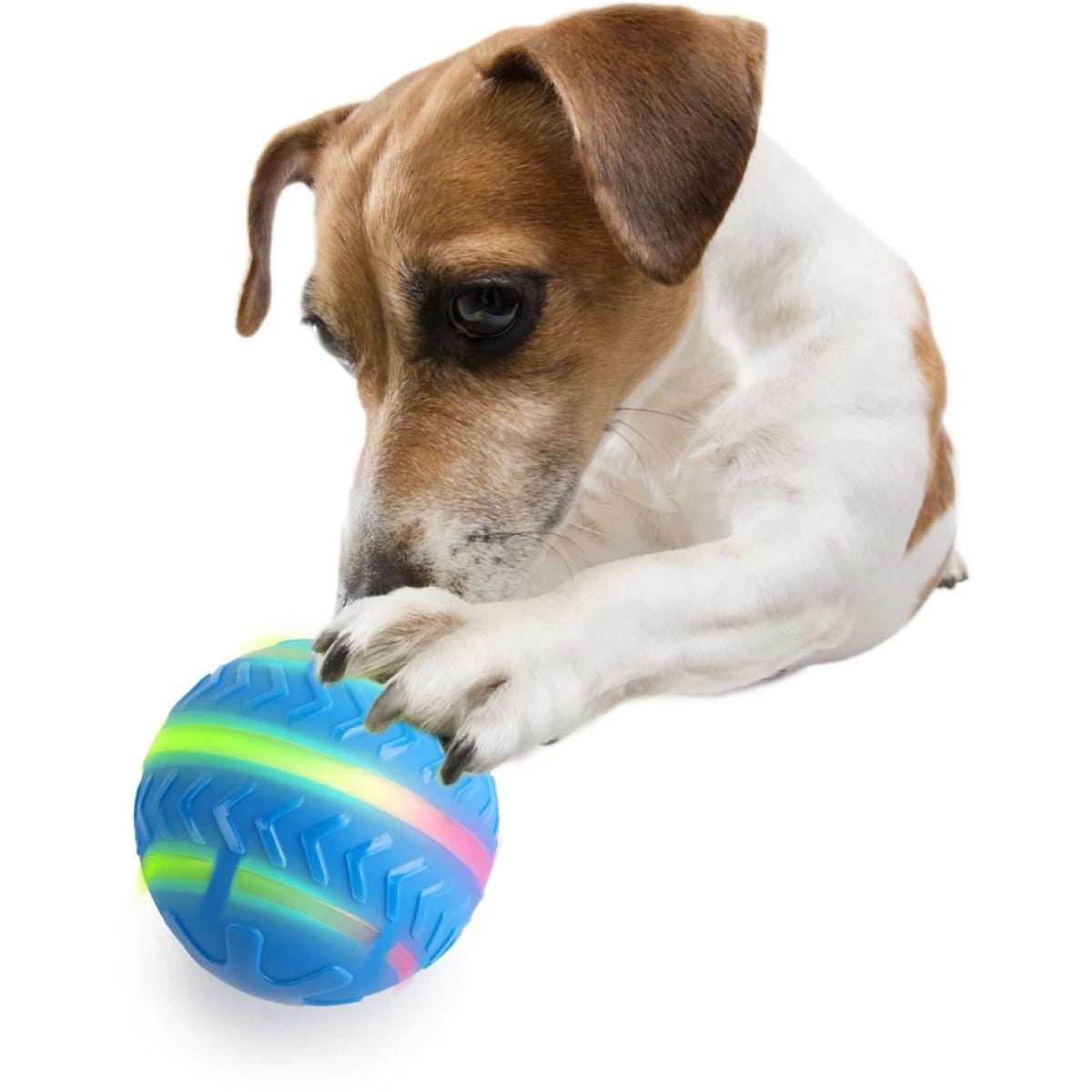 All for Paws Ball motion Activated mit Speicher