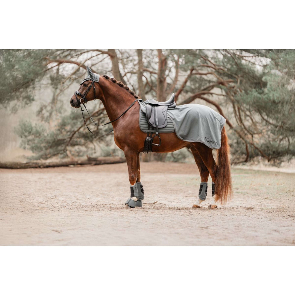 EQPRO Ausreitdecke Softshell Shadow Steel