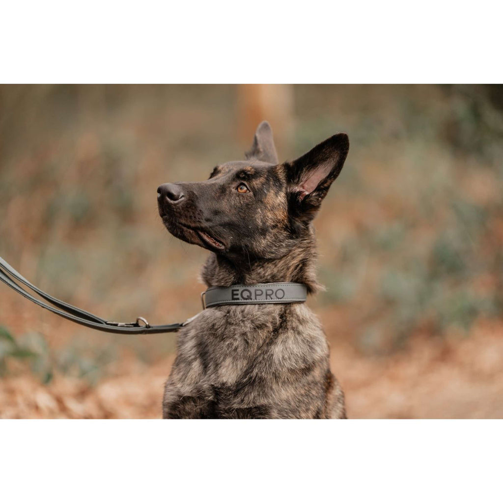 EQPRO Halsband und Leine Softshell Shadow Steel