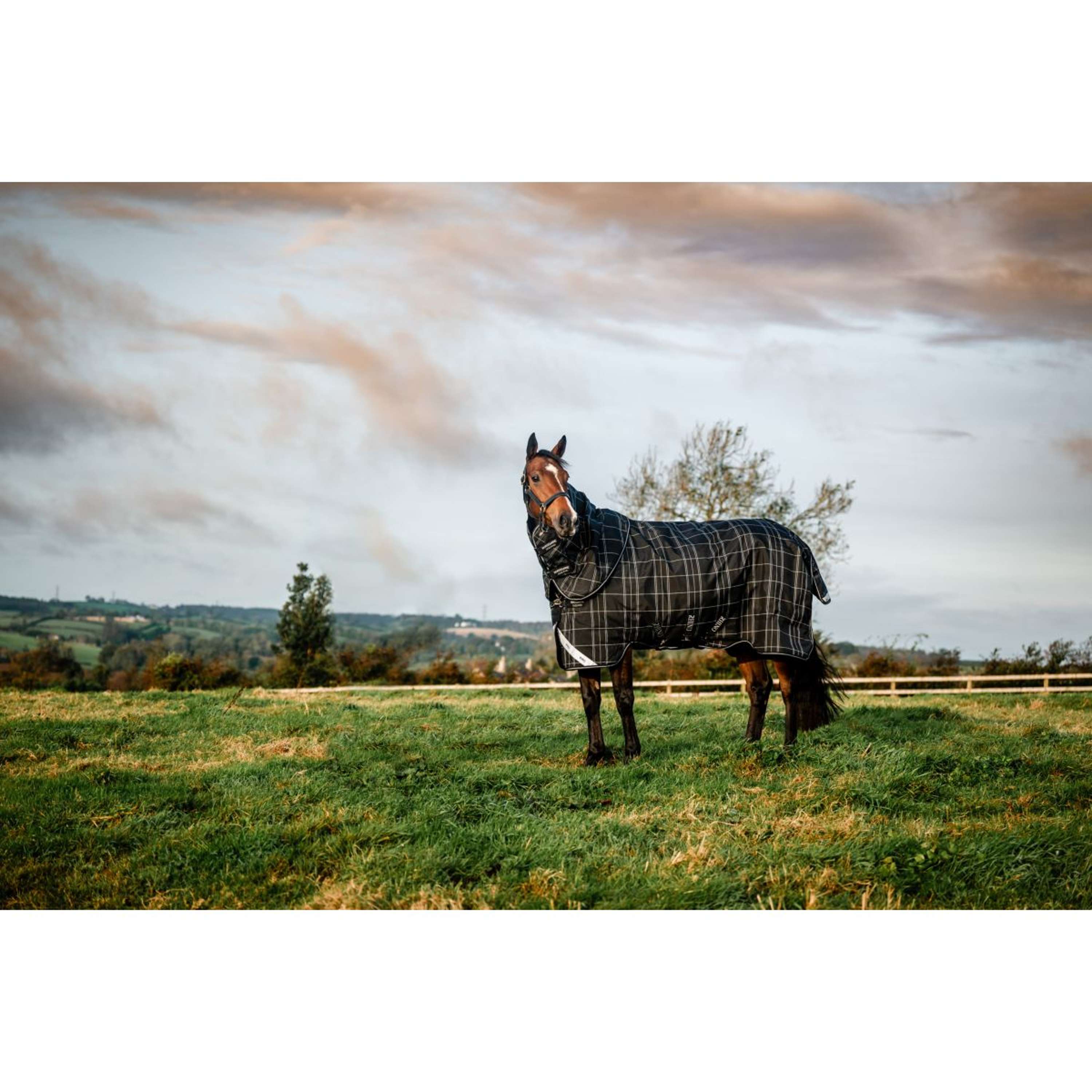 Rhino Plus Turnout Bundle 0g + 200g Black Check/Schwarz/Weiß