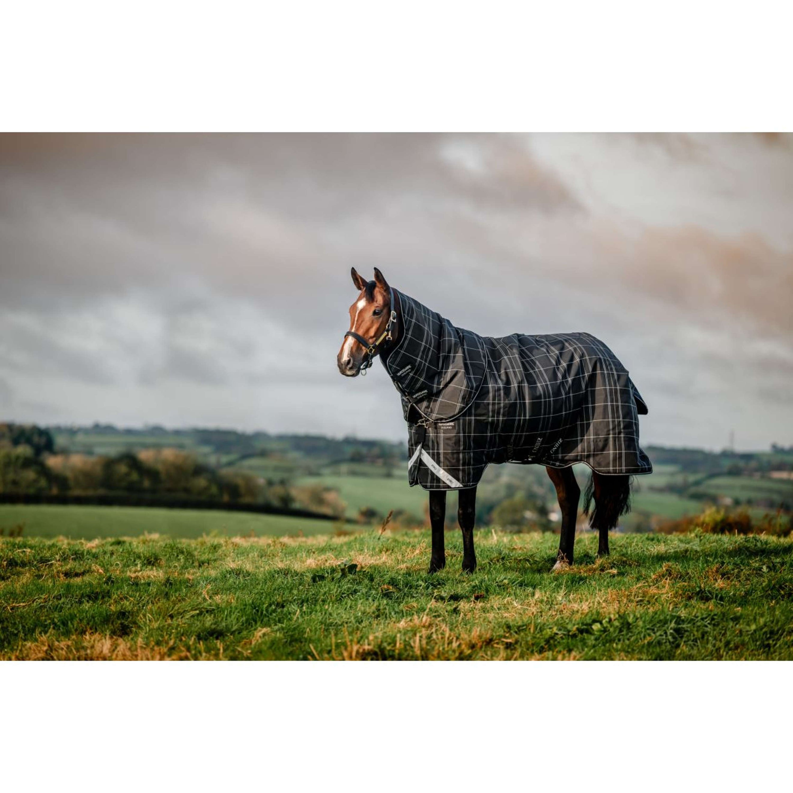 Rhino Plus Turnout Bundle 0g + 200g Black Check/Schwarz/Weiß Rhino Plus Turnout Bundle 0g + 200g Black Check/Schwarz/Weiß