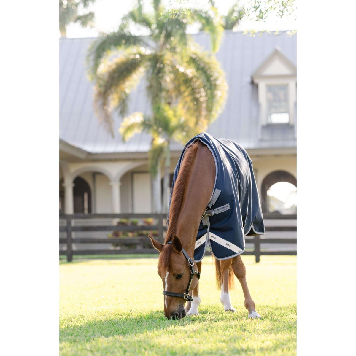 Amigo Turnout Bravo 100g Navy/Titanium Grey