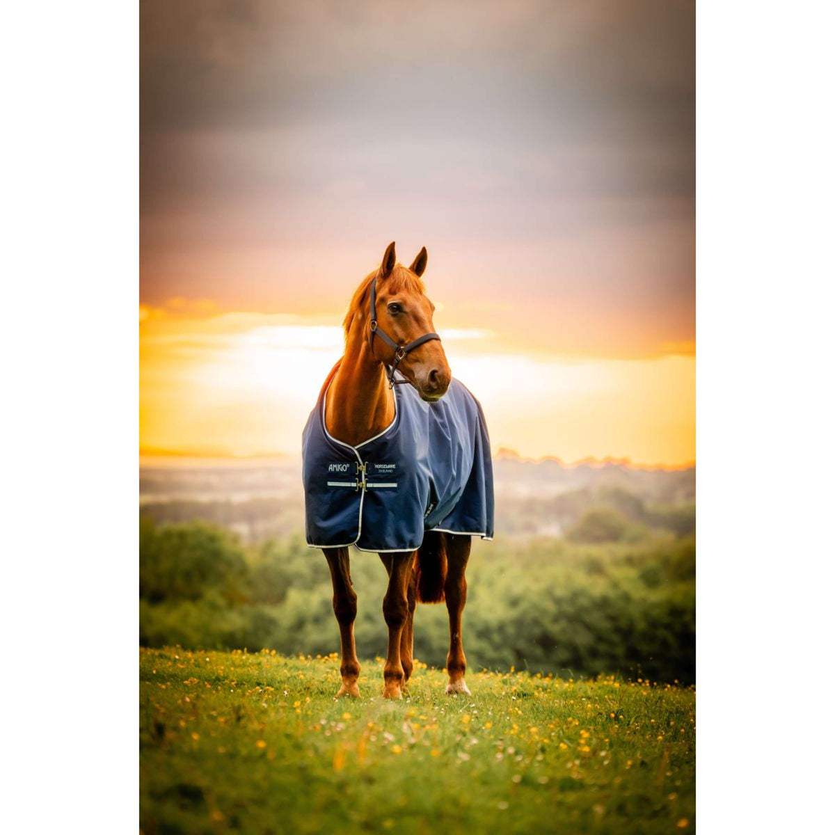 Amigo Ripstop 900D Pony 200g Witney Navy