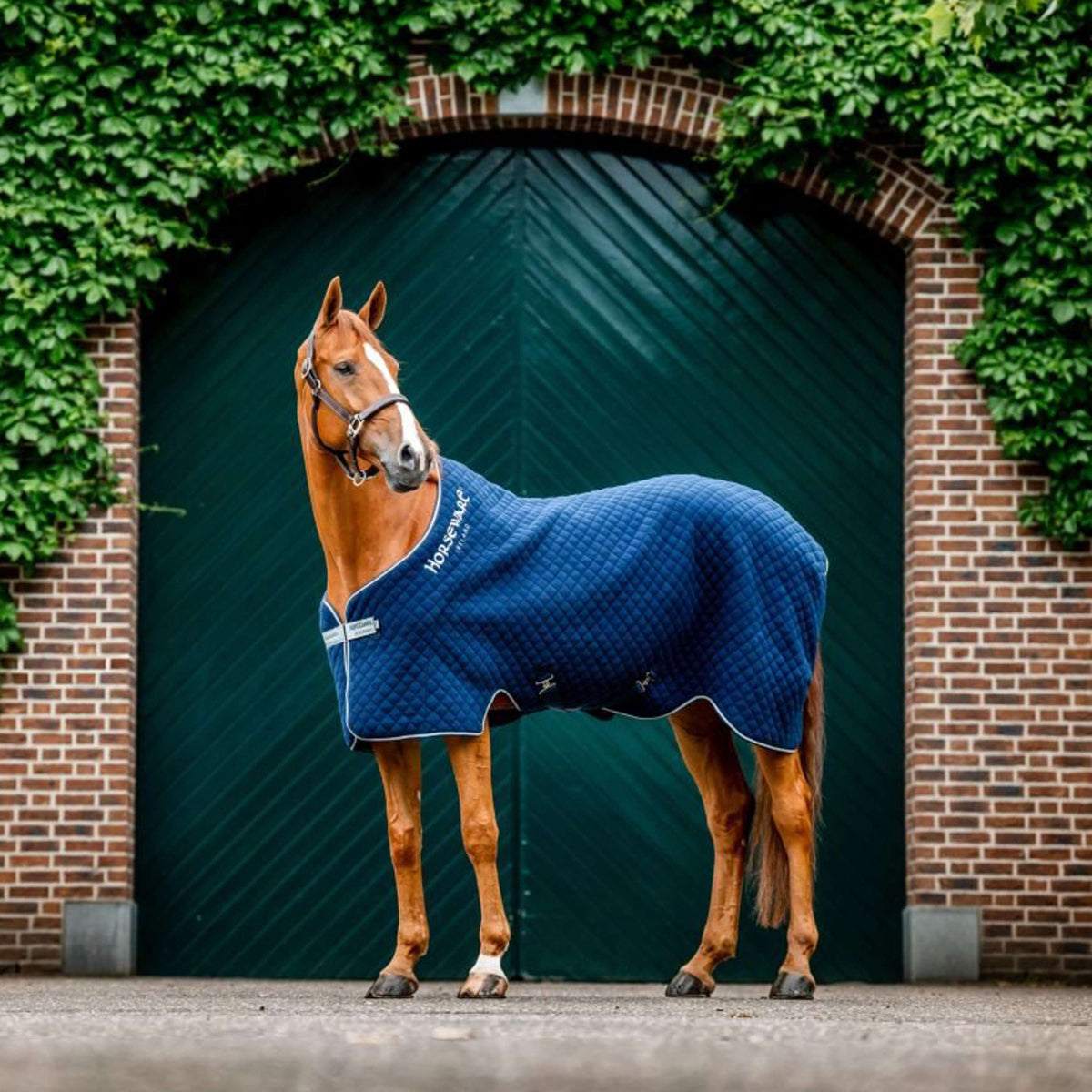 Horseware Cooler Autumn Navy/Silber