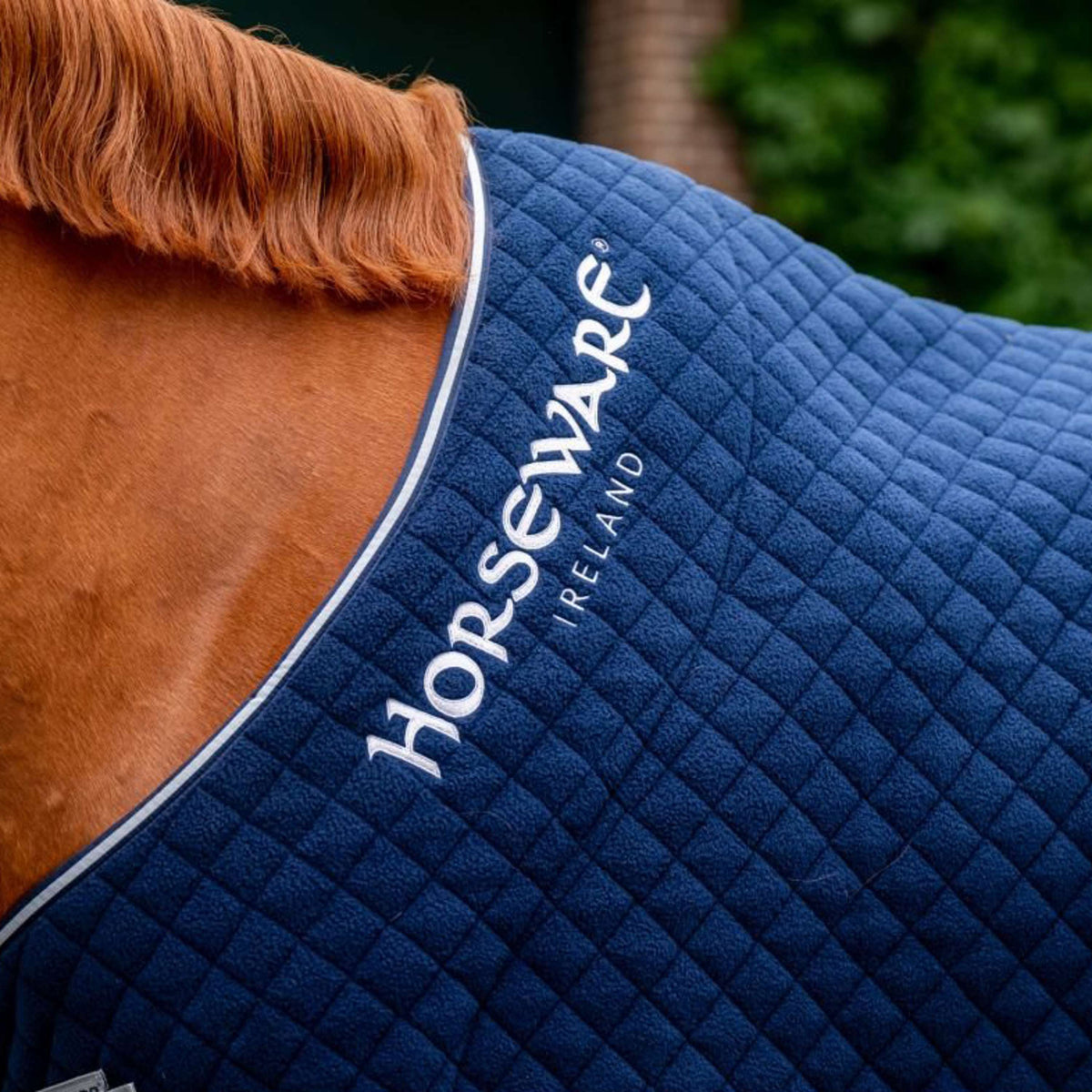 Horseware Cooler Autumn Navy/Silber