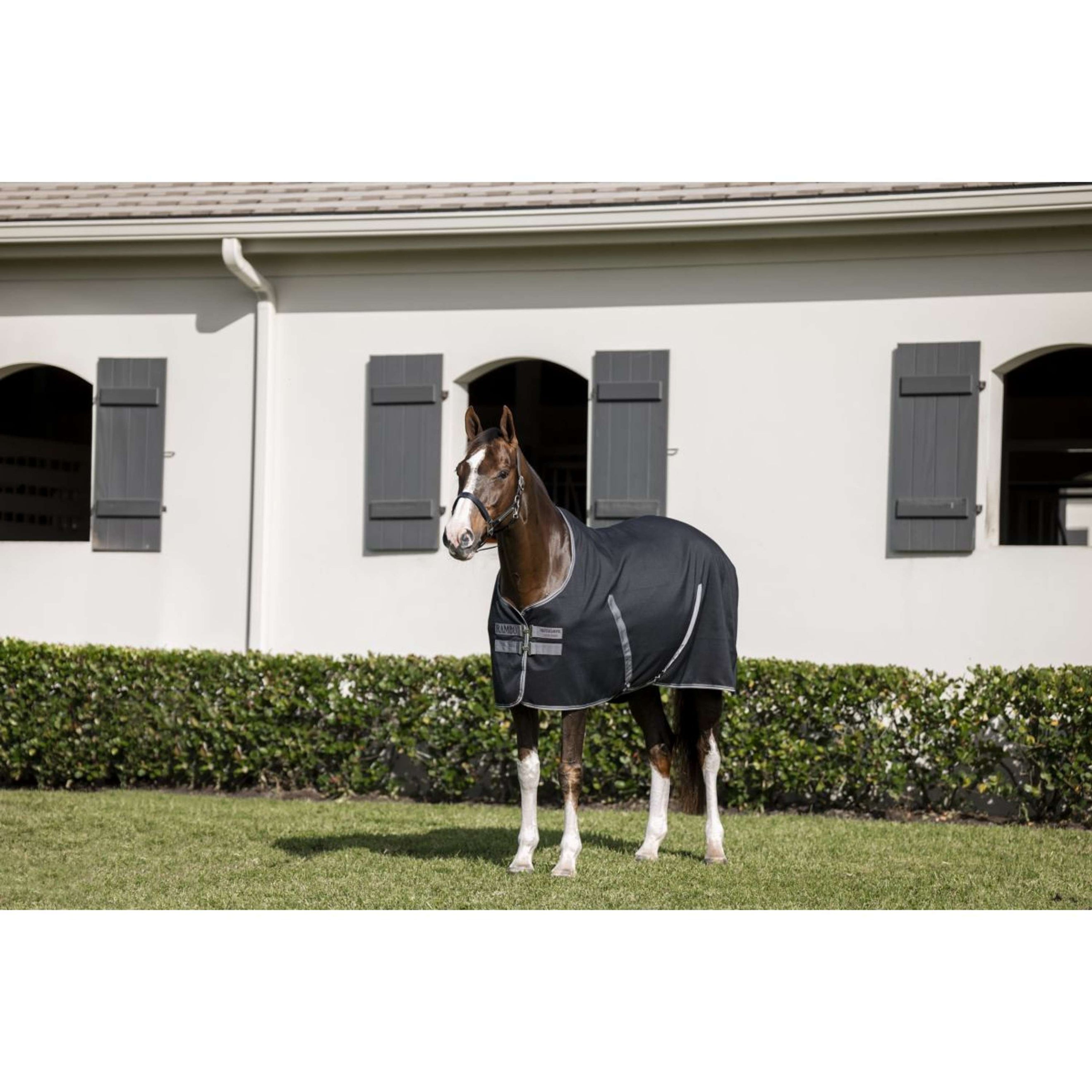 Rambo Stable Sheet Black/Thunderstorm Grey/Silver Rambo Stable Sheet Black/Thunderstorm Grey/Silver