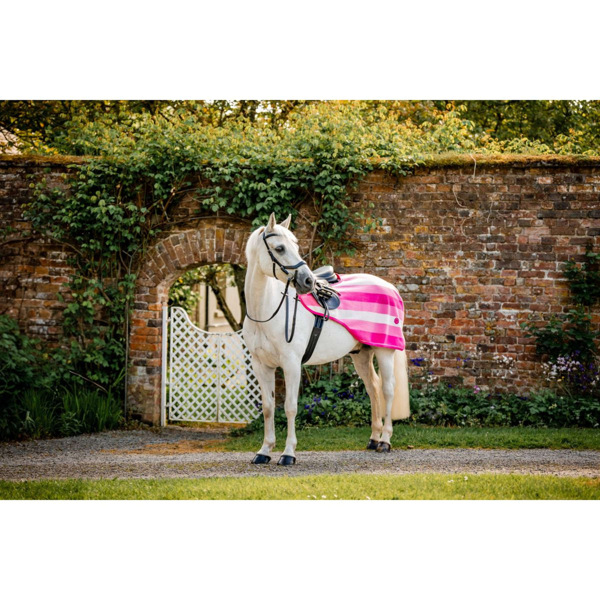 Horseware Ausreitdecke Newmarket Witney Pink