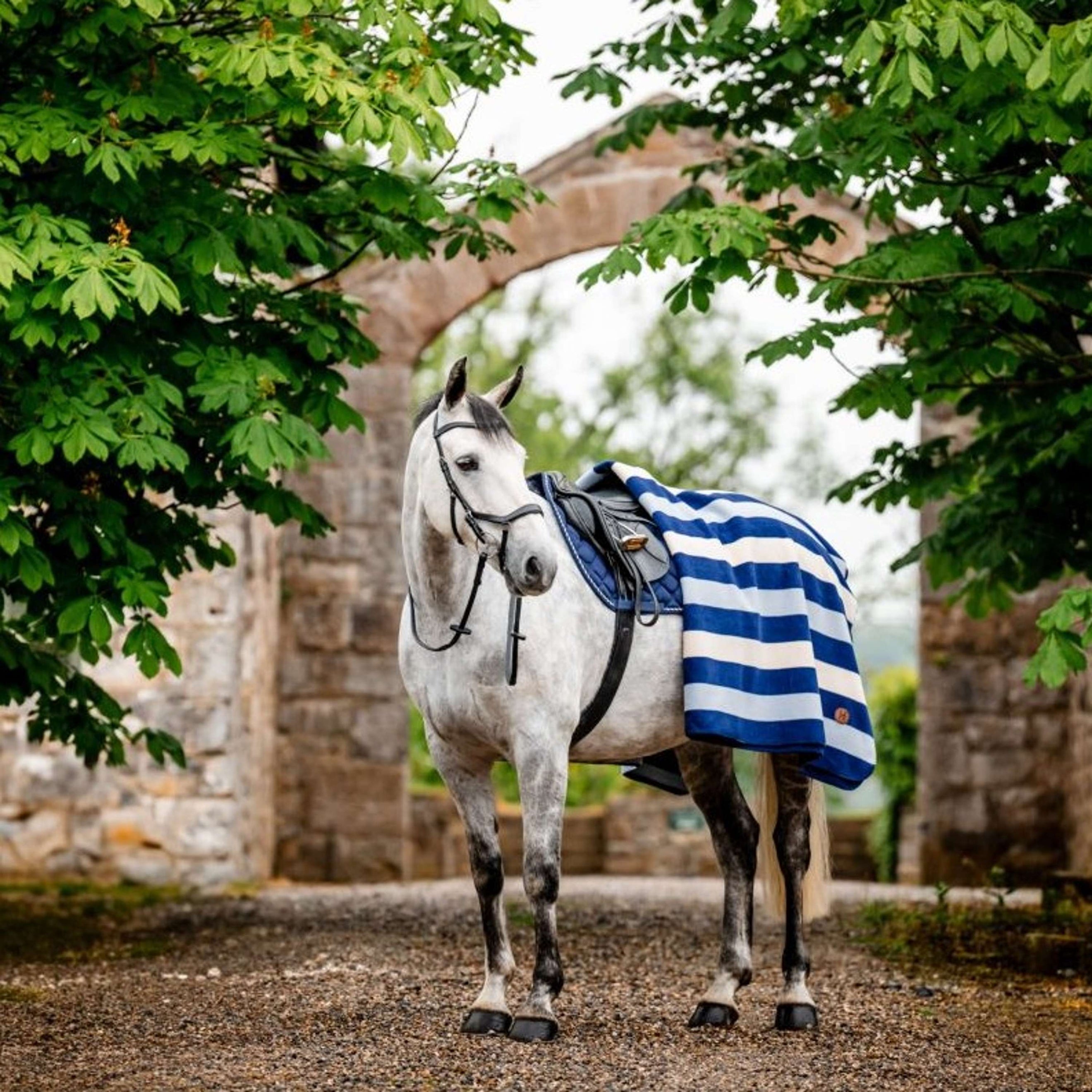 Horseware Fleecedecke Newmarket Witney Navy