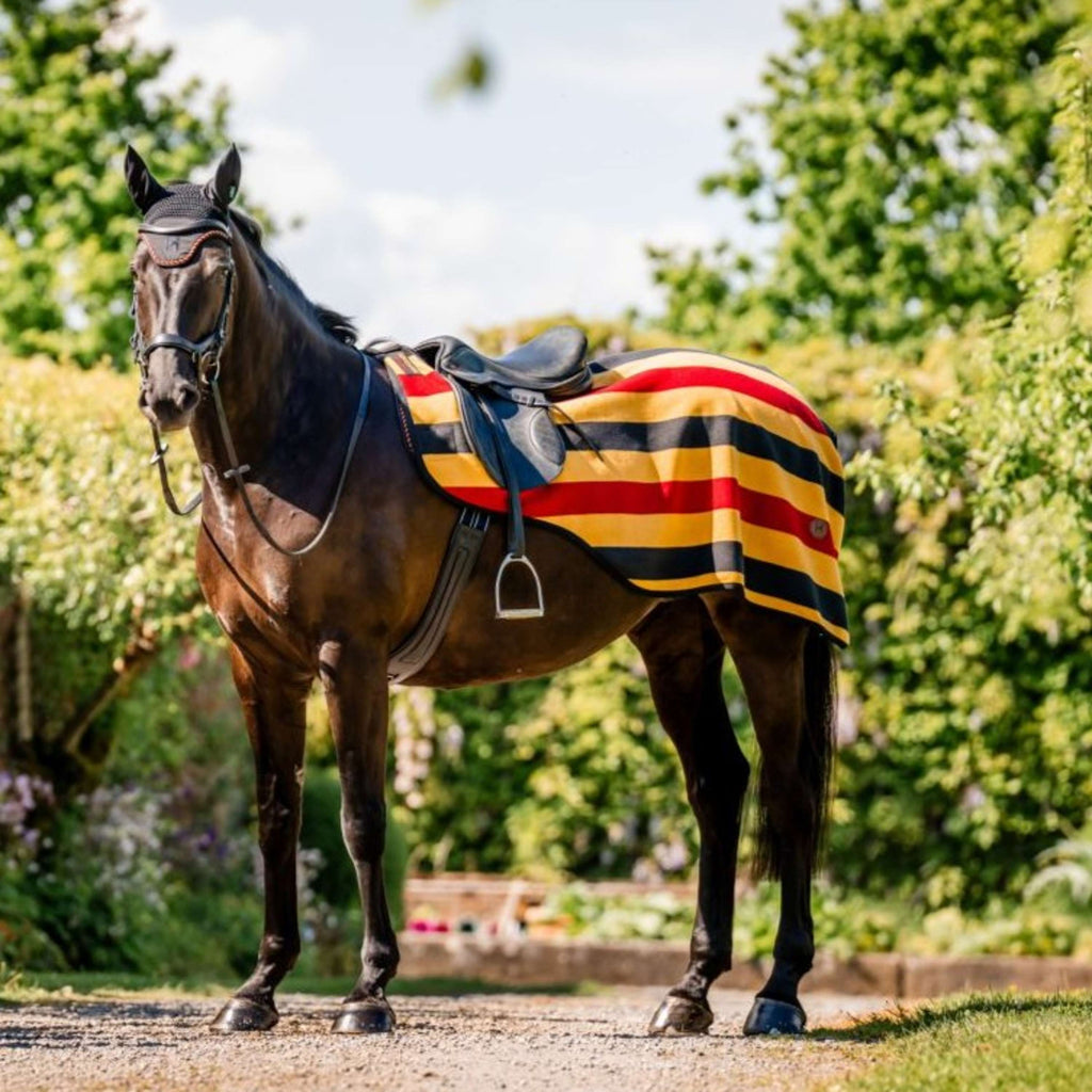 Horseware Ausreitdecke Newmarket Witney Gold