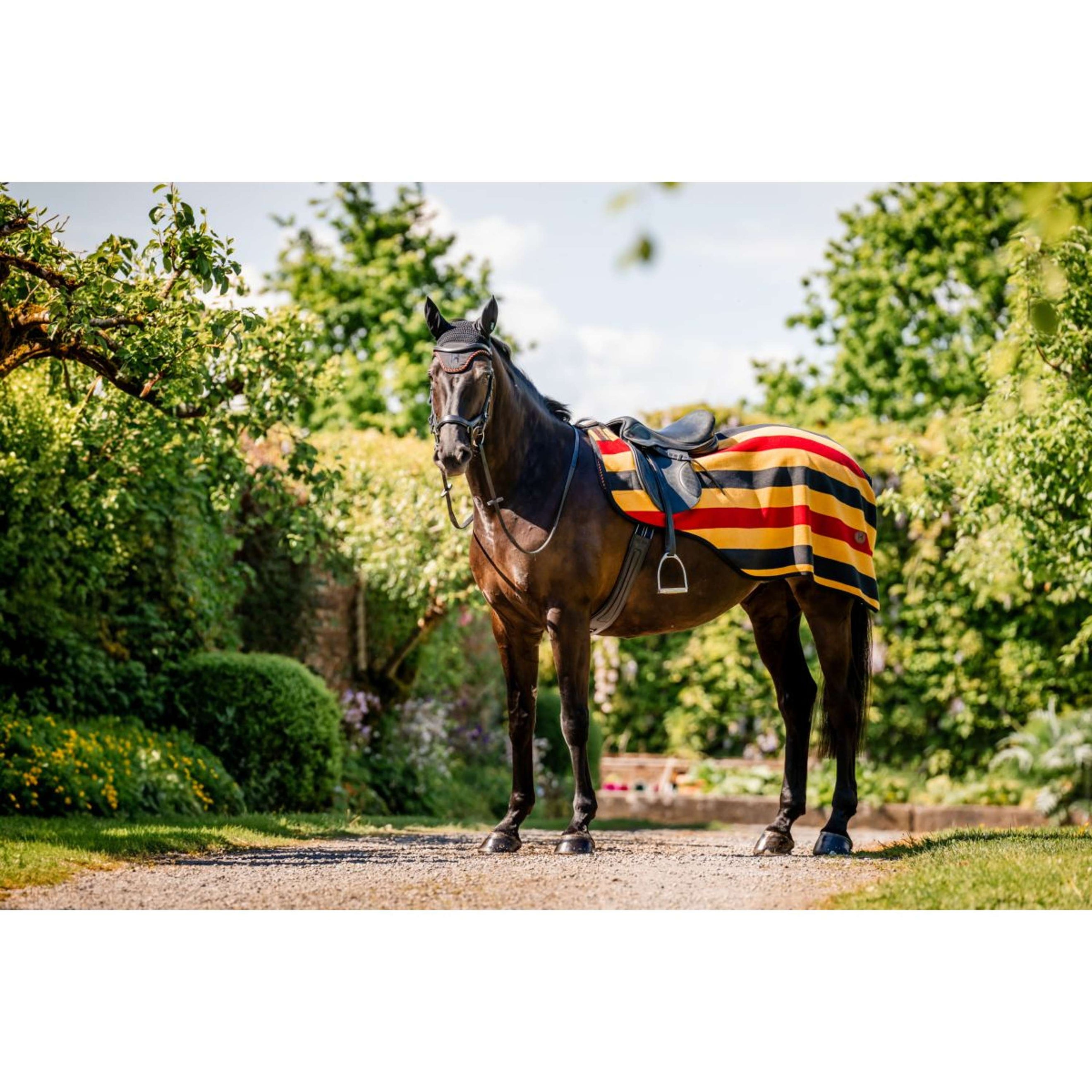 Horseware Ausreitdecke Newmarket Witney Gold Horseware Ausreitdecke Newmarket Witney Gold