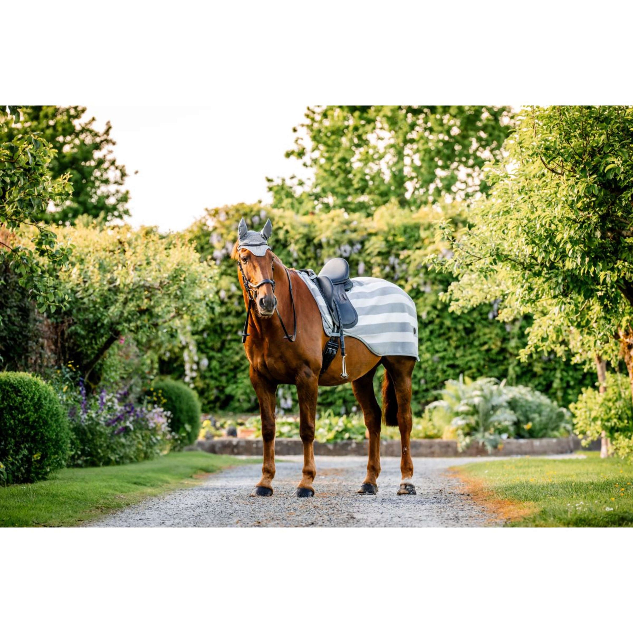 Horseware Ausreitdecke Newmarket Witney Charcoal Horseware Ausreitdecke Newmarket Witney Charcoal