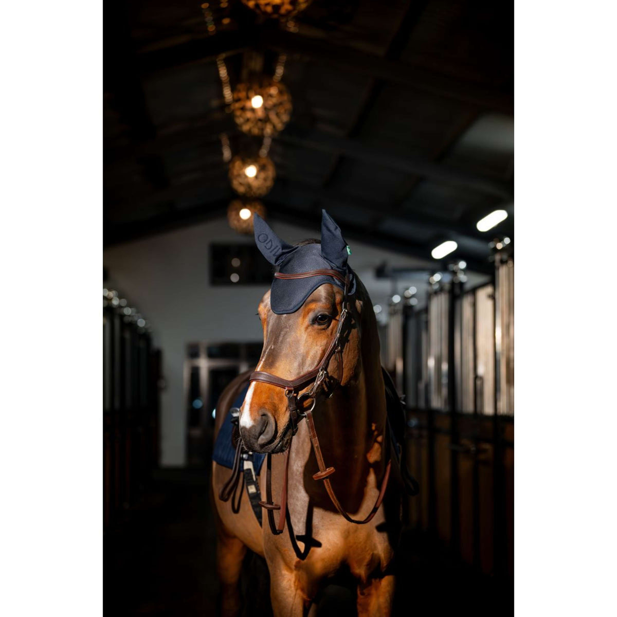 Amigo Fliegenhaube Navy