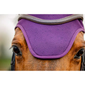 Amigo Fliegenhaube Winterberry