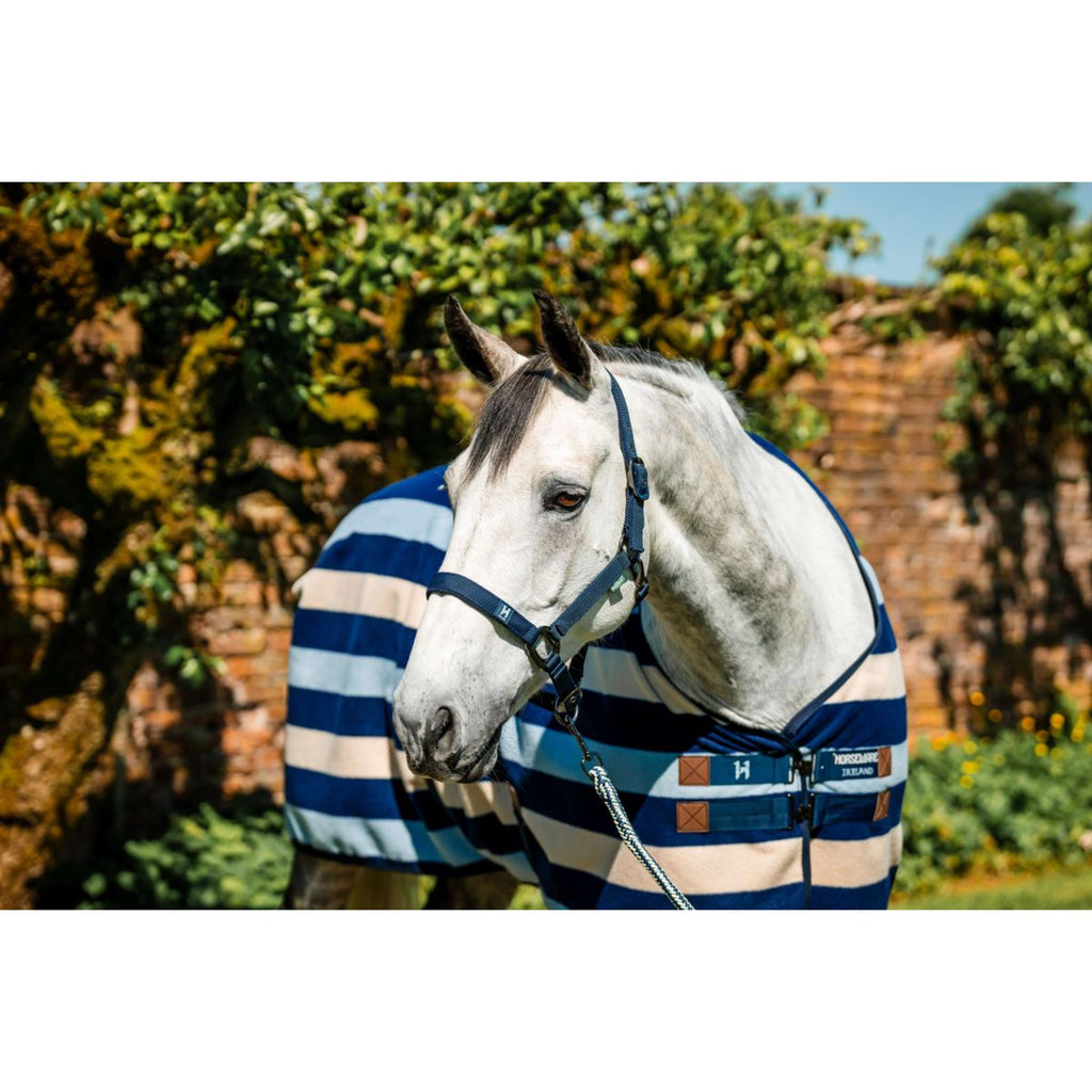 Amigo Halfter & Strick Newmarket Witney Navy