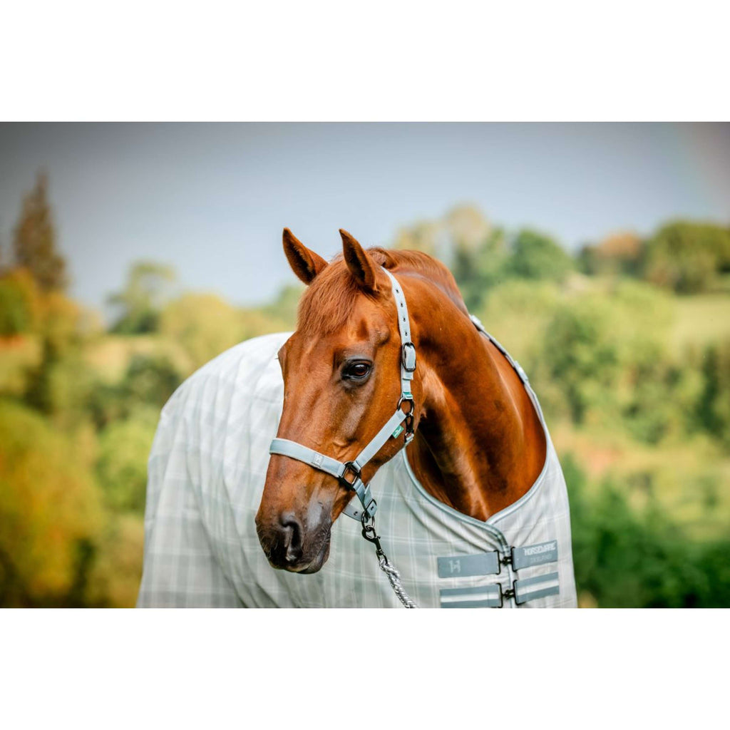 Amigo Halfter & Strick Newmarket Witney Charcoal