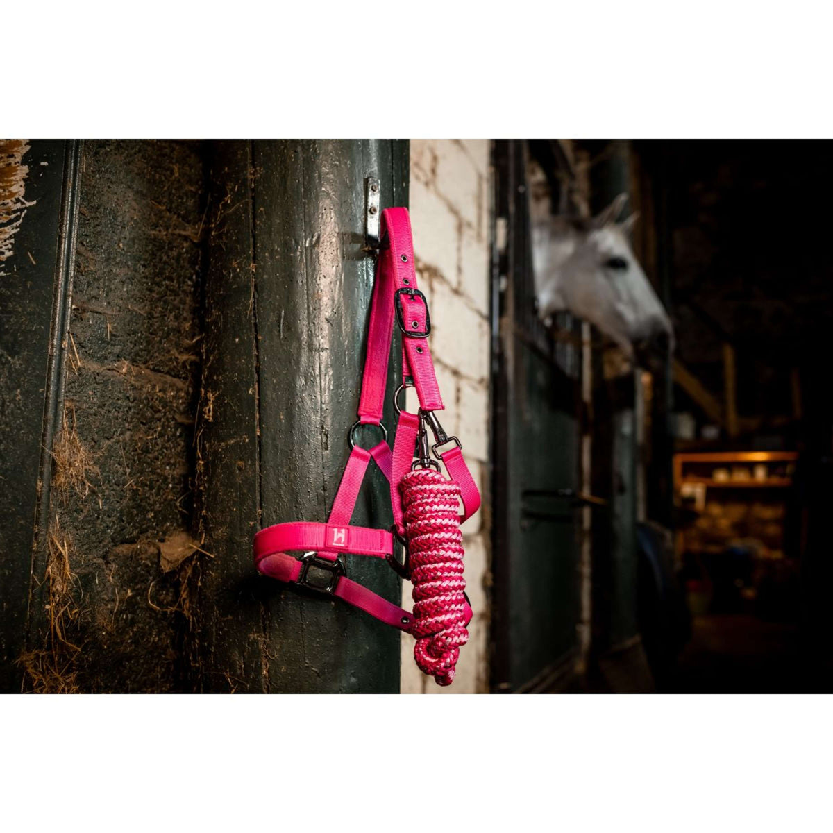 Amigo Halfter & Strick Newmarket Witney Pink