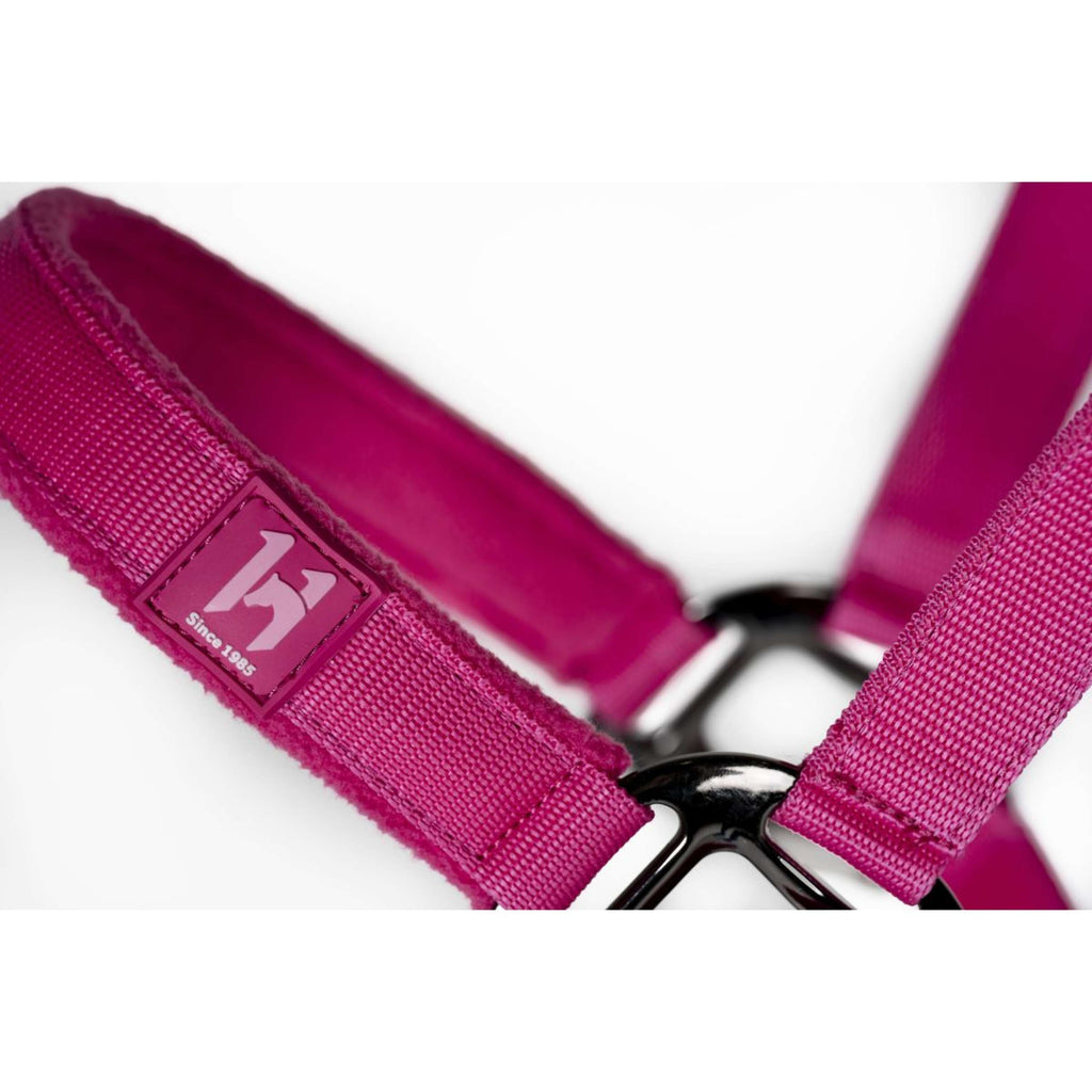 Amigo Halfter & Strick Newmarket Witney Pink