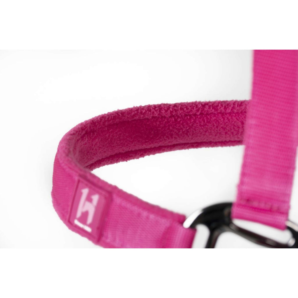 Amigo Halfter & Strick Newmarket Witney Pink