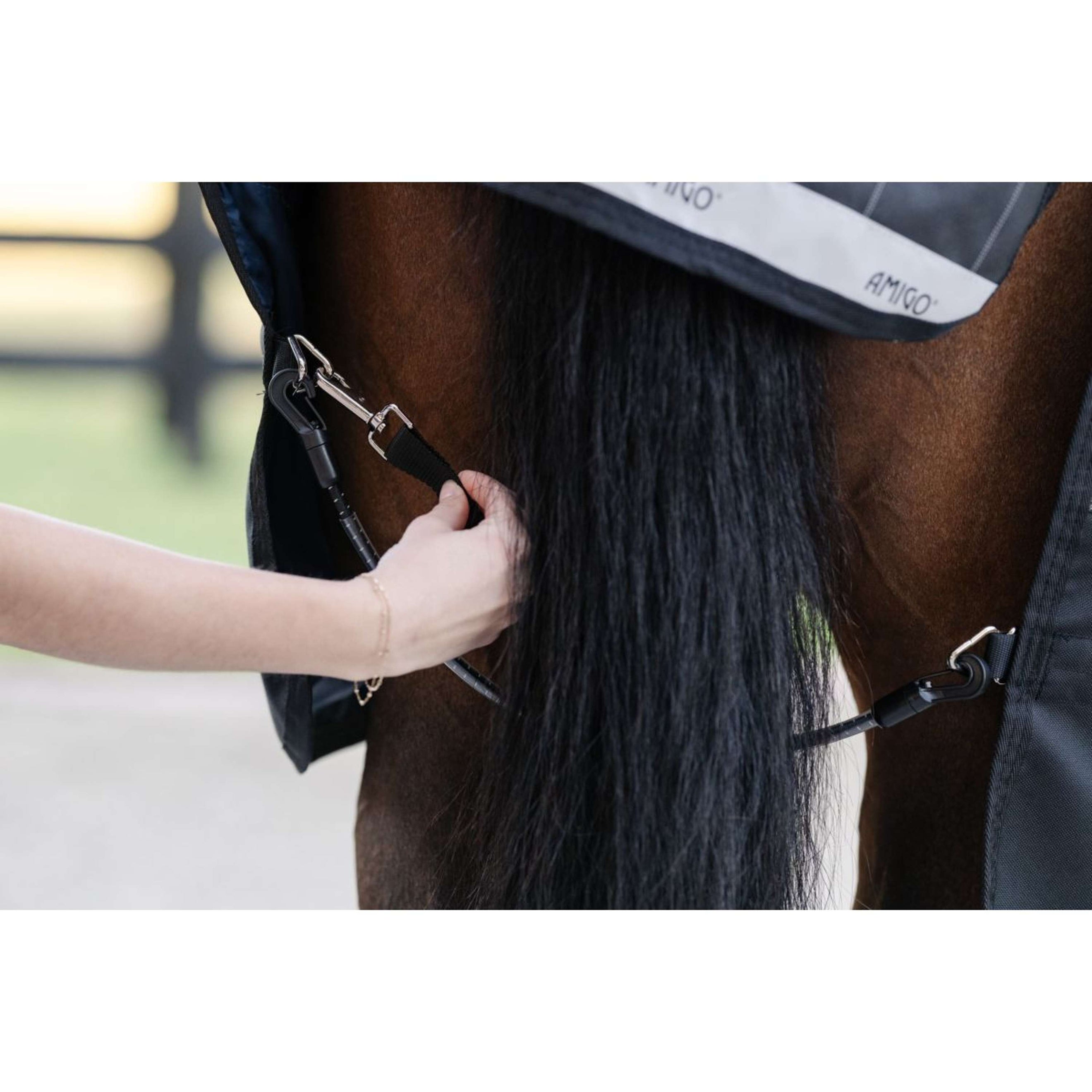 Horseware Beinriemen Schwarz Horseware Beinriemen Schwarz