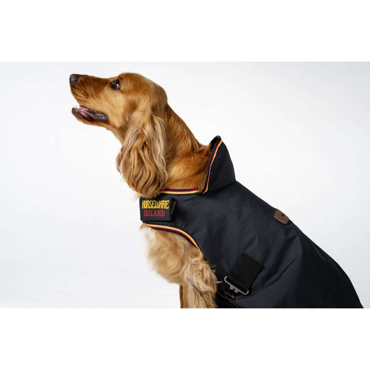 Horseware Hundedecke Newmarket Witney Gold