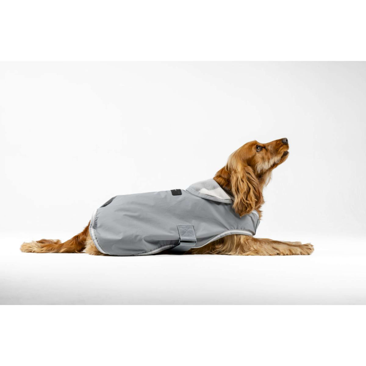 Horseware Hundedecke Newmarket Witney Charcoal