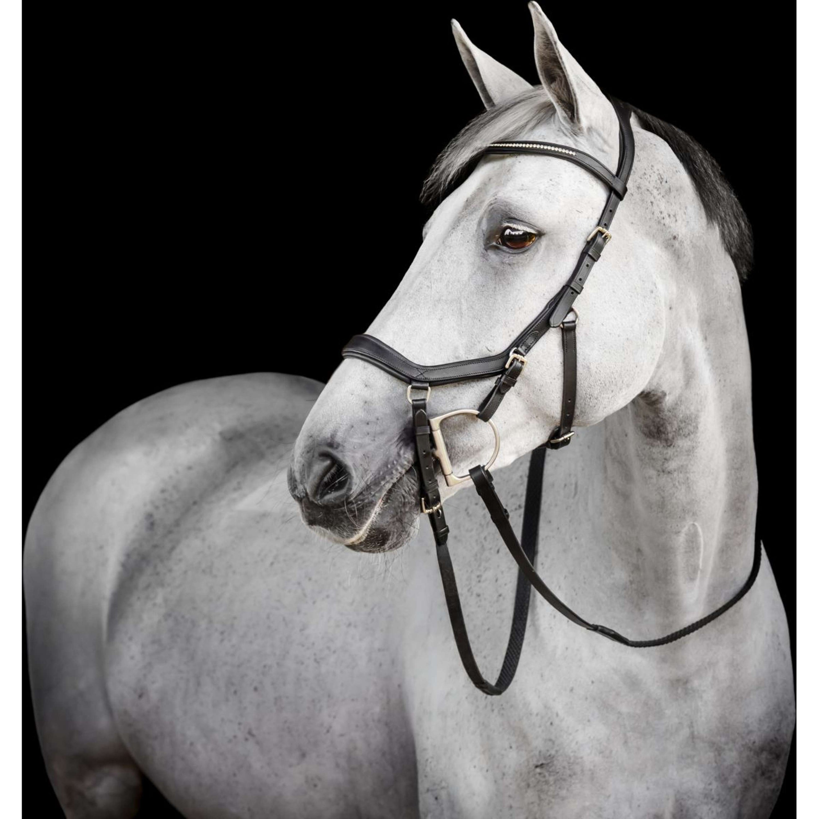 Horseware Micklem Diamante Competition Bridle Schwarz Horseware Micklem Diamante Competition Bridle Schwarz