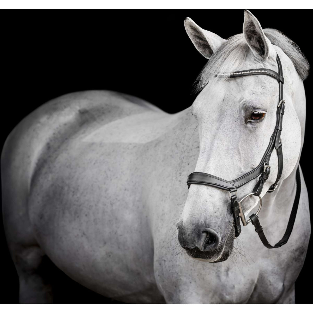 Horseware Micklem Diamante Competition Bridle Schwarz