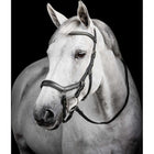 Horseware Micklem Diamante Competition Bridle Schwarz