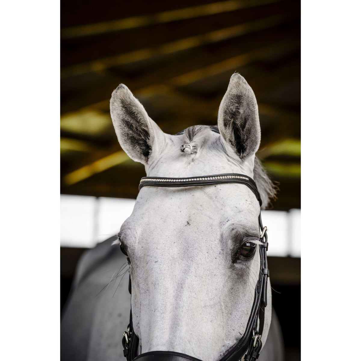 Horseware Micklem Diamante Competition Bridle Schwarz