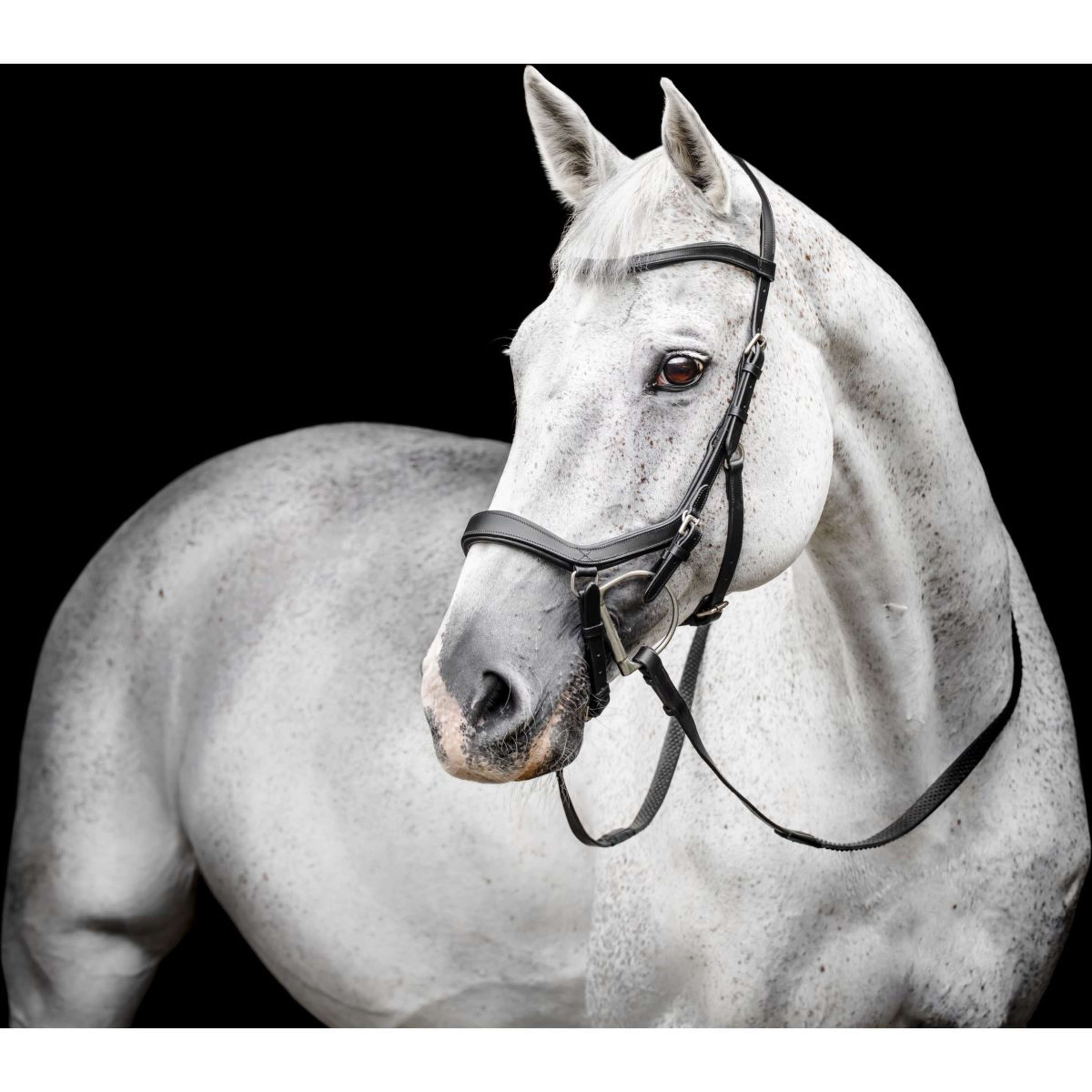 Horseware Micklem Competition Bridle Schwarz Horseware Micklem Competition Bridle Schwarz
