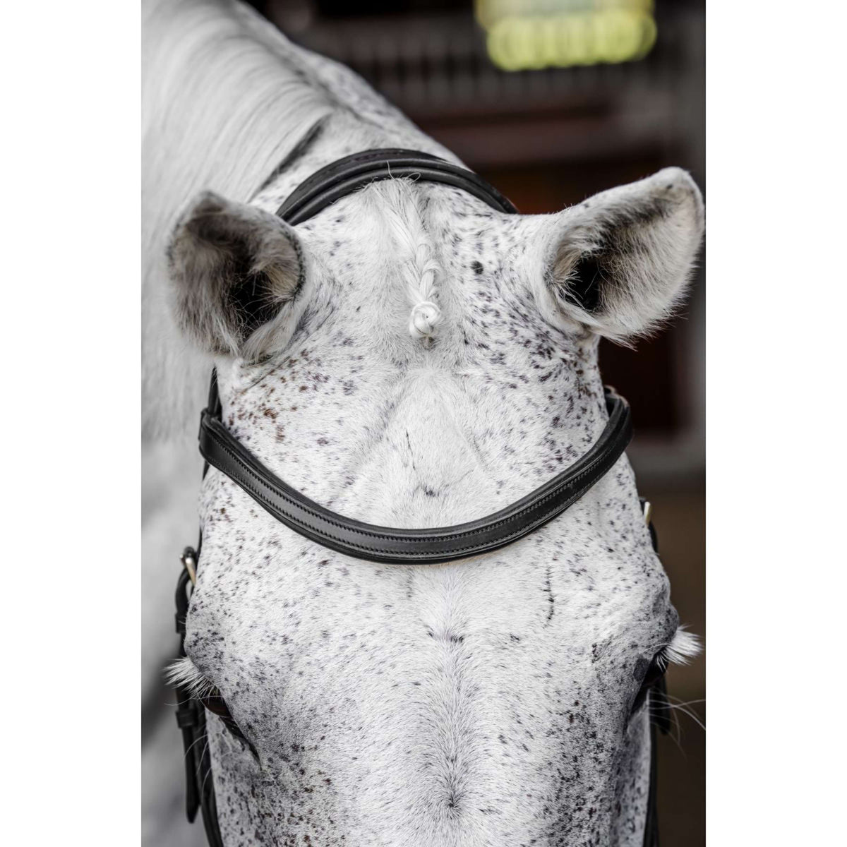 Horseware Micklem Competition Bridle Schwarz