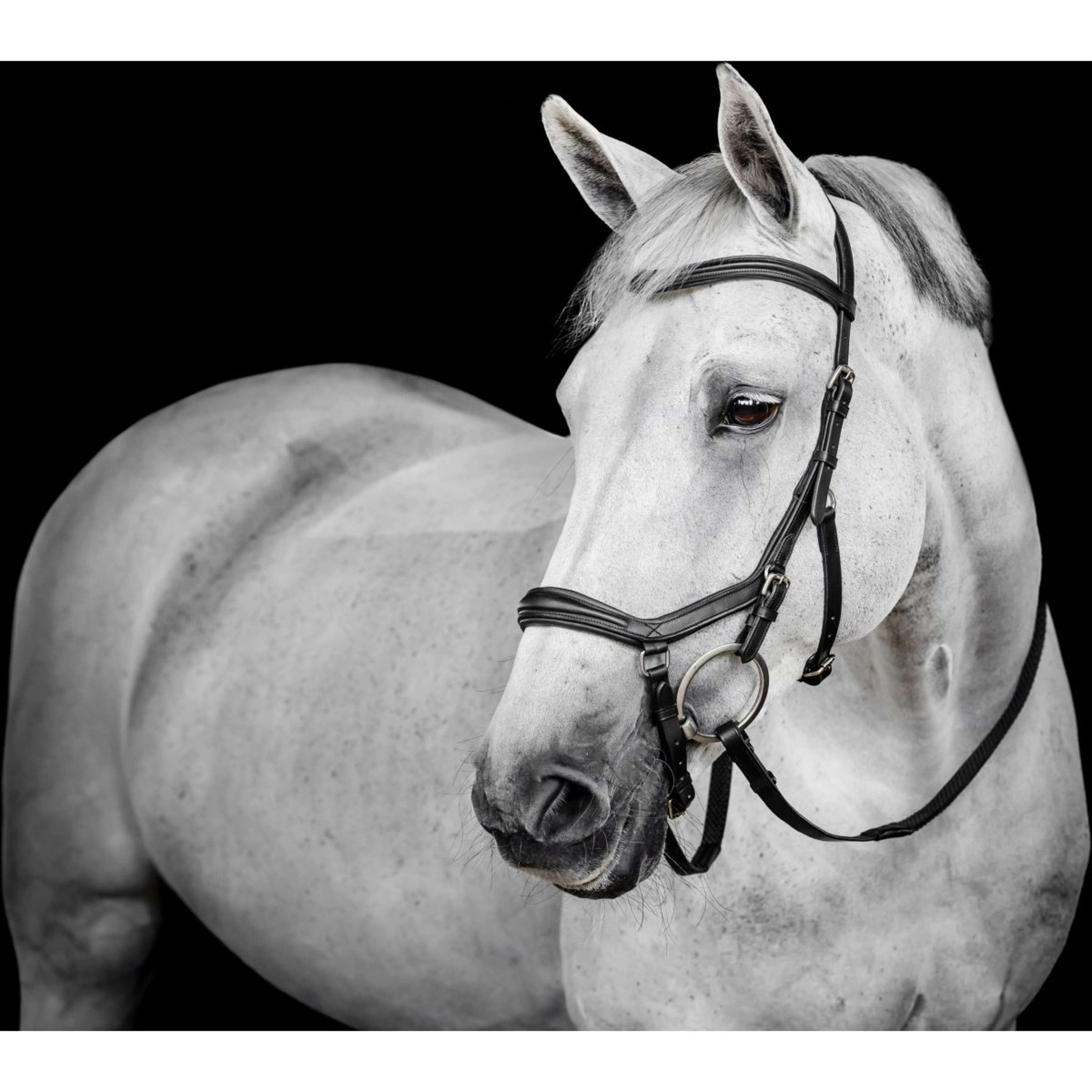 Horseware Micklem Deluxe Competition Bridle Schwarz