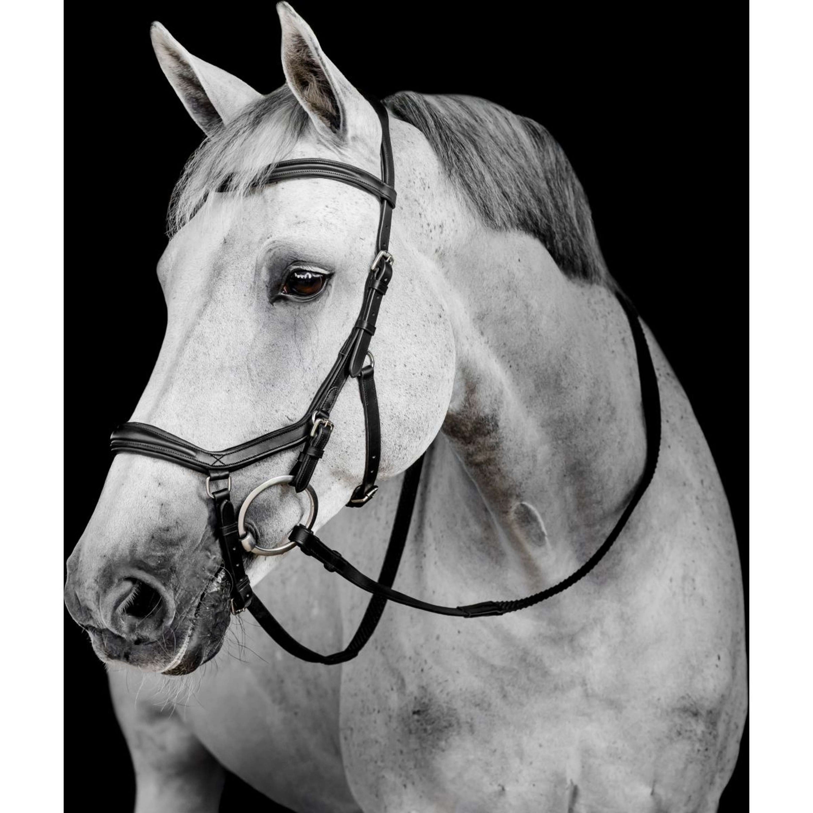 Horseware Micklem Deluxe Competition Bridle Schwarz